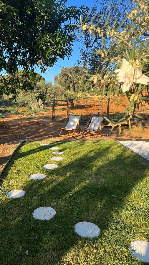 Casa Luz Holiday home Guia (Faro)